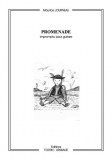 Promenade (Impromptu for guitar) by M Journeau
