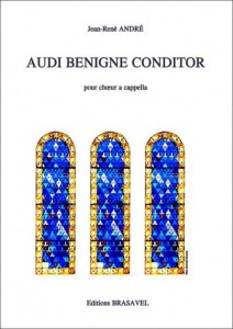 AUDI BENIGN CONDITOR